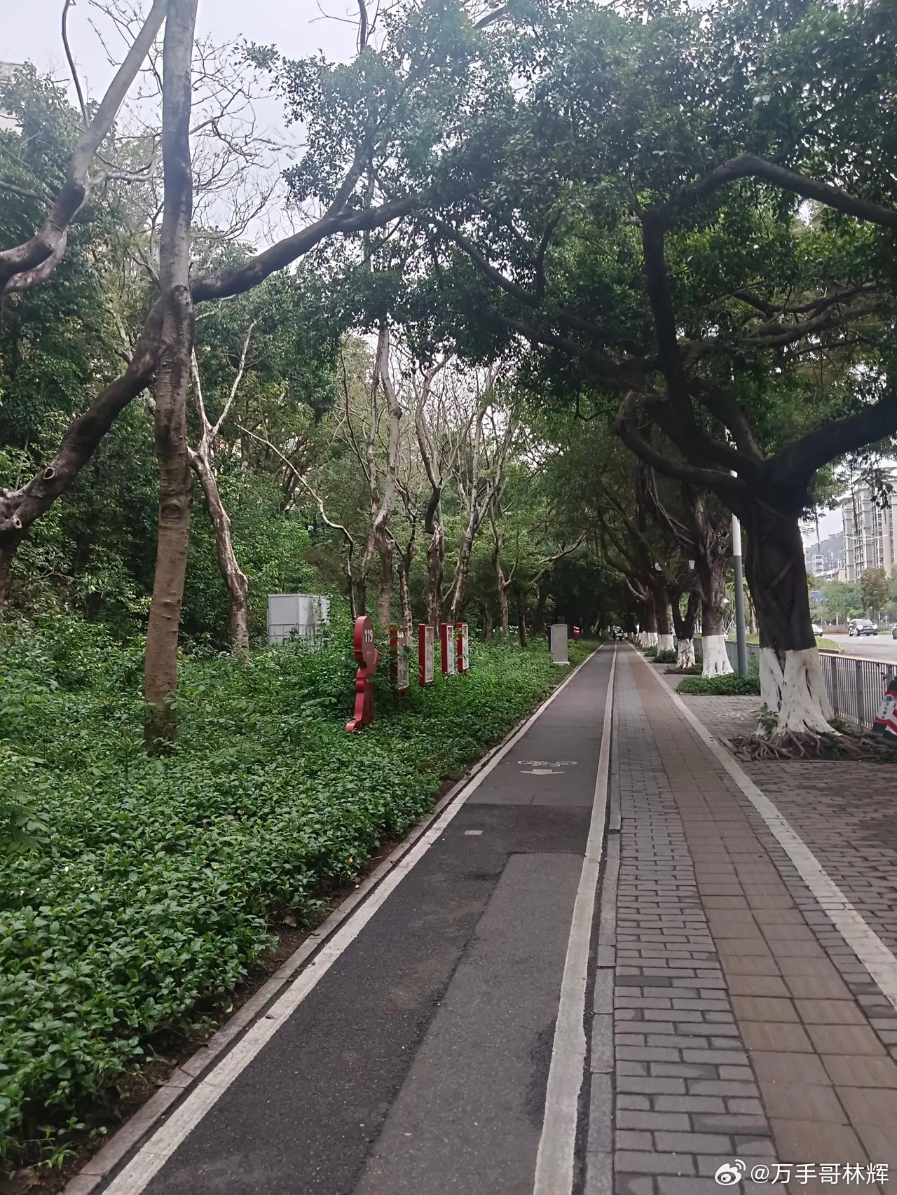 A股5千多家上市公司，选出一个你心目中最伟大的公司，或者你选择最看好它后市的公司