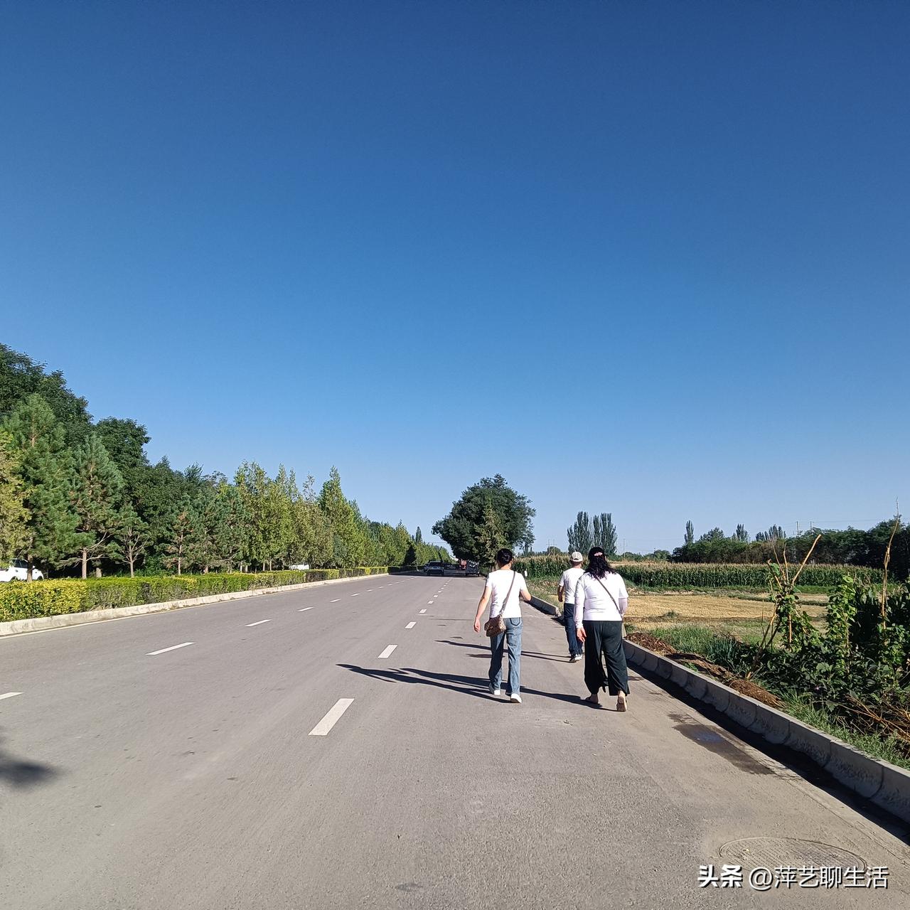 走着走着半年又过去了，挣钱的机会越来越难，望眼欲穿等待的就是发工资的日子，算算过