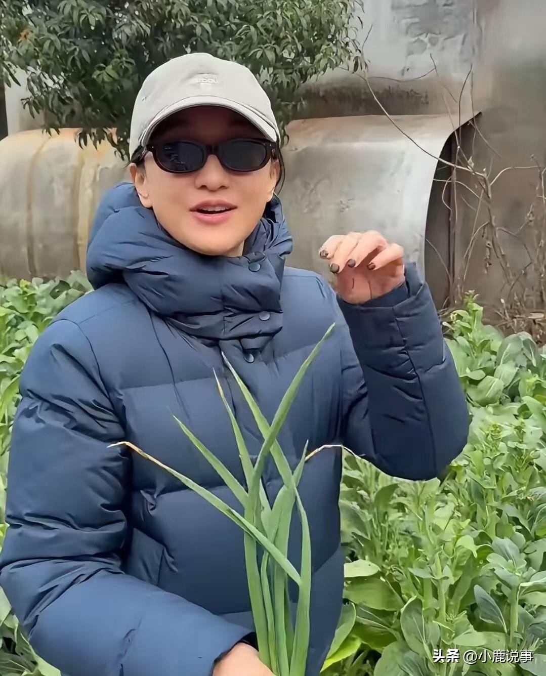 总有人说周迅没戏拍了，
真相狠狠打脸。
 
她不是退圈，而是不想再被流量和舆论绑