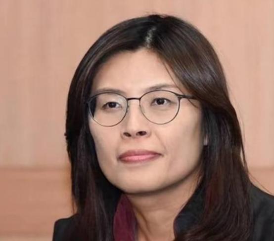 国民党主席郑丽文，在专访中明确亮明态度：台湾不会也不能接受香港模式。
 
郑丽文