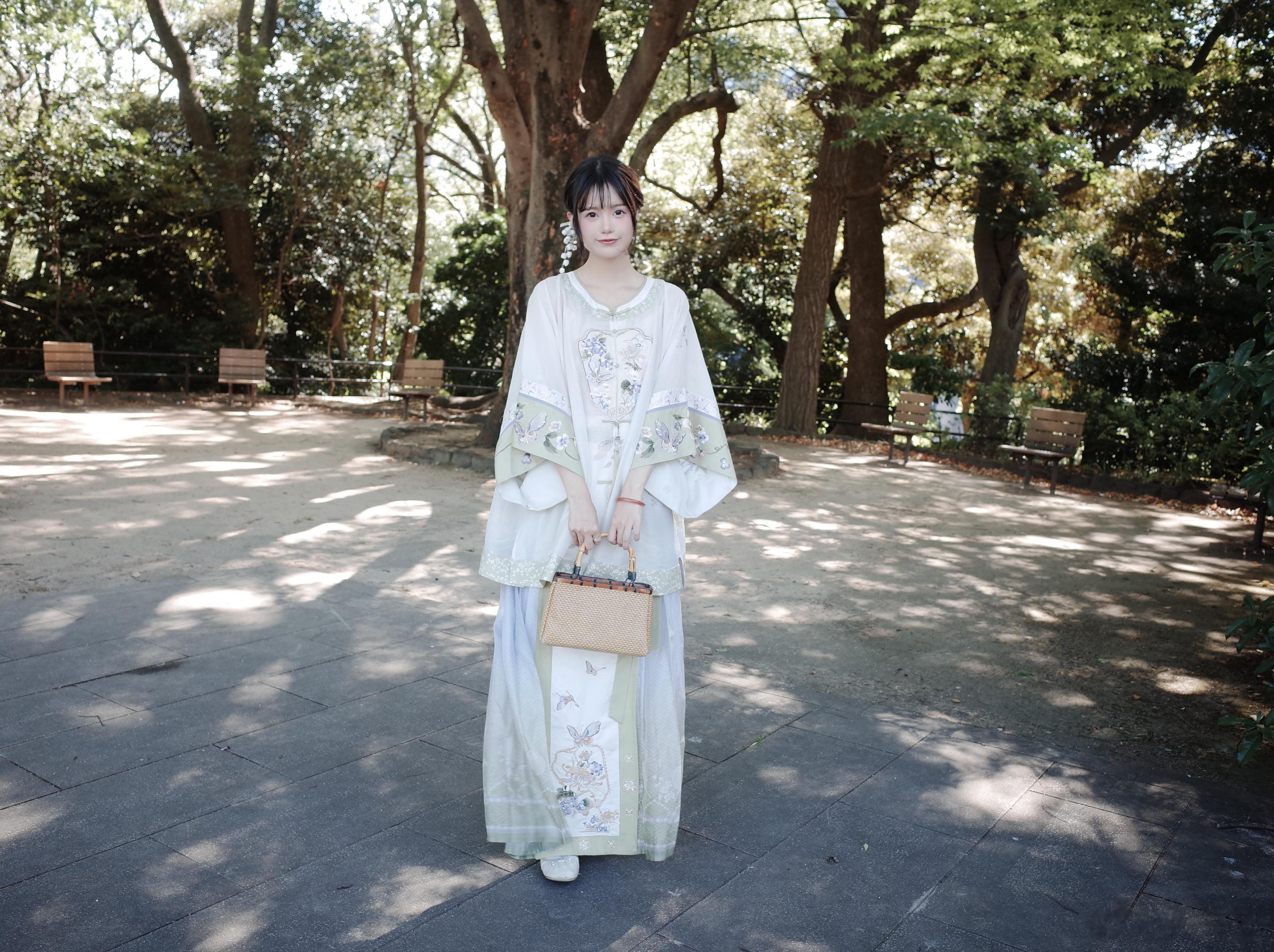 Tokyo🍵 city walk🚶上野公园—博物馆—浅草寺—秋叶原腿差点走断