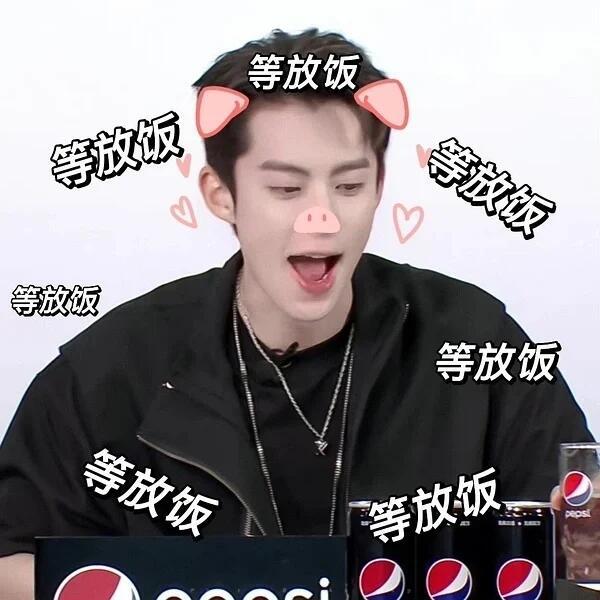 所有人！摄入🐷力量！念猪想猪盼猪王鹤棣