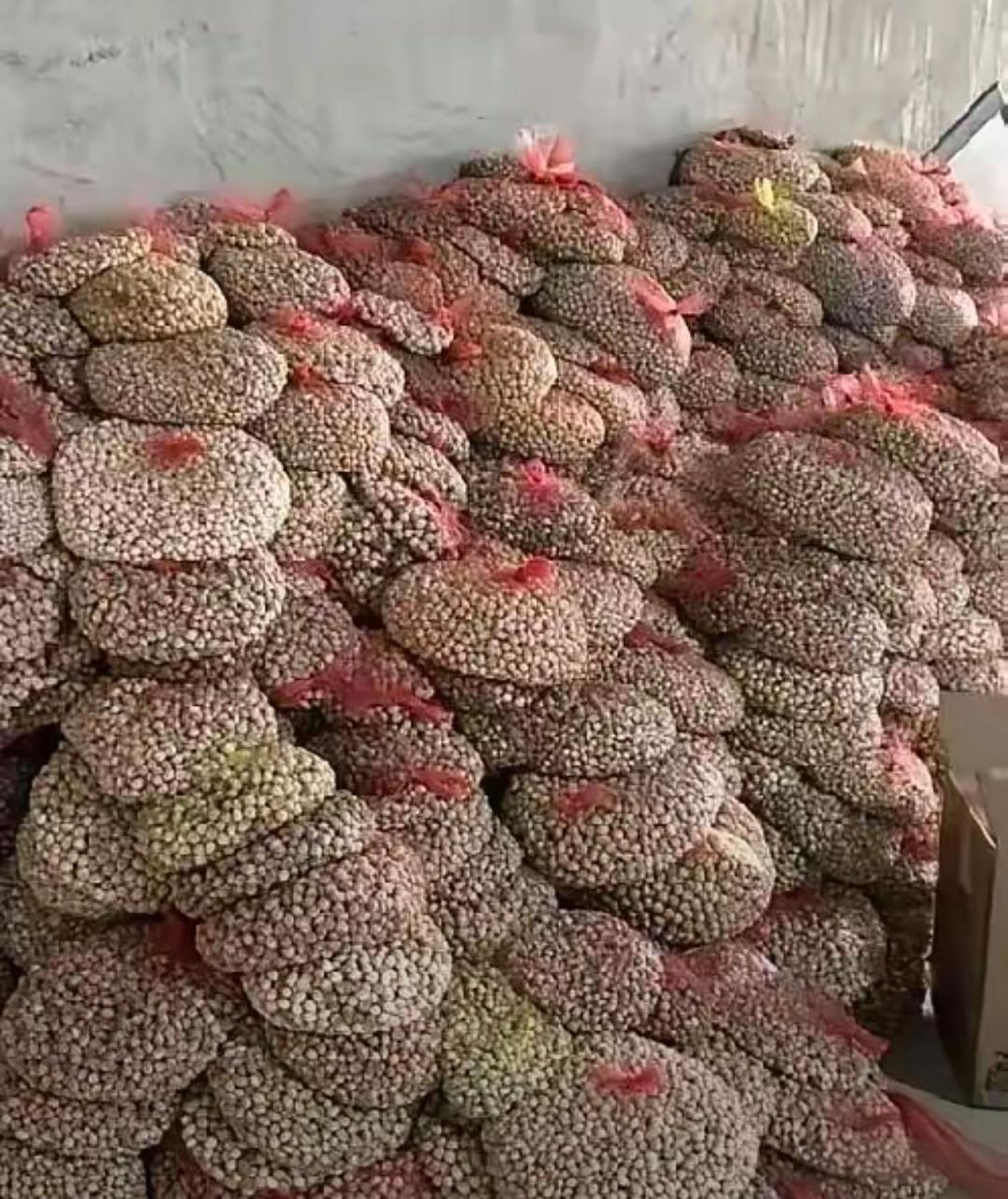 去乡下同学家，刚进他家仓房，我被眼前一堆东西看愣了。靠墙码着小山一样的网袋，一只