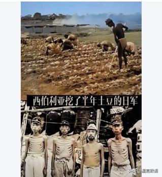 日本首先接下来会怎么样？
刚上任的日本第一位女首相，上台便放言台湾问题，显然不是