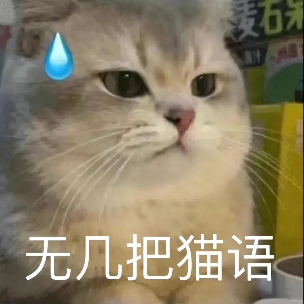 3500卖科皇，还是卖给沙特俱乐部……烙饼你要几把干啥啊[微笑] ​​​