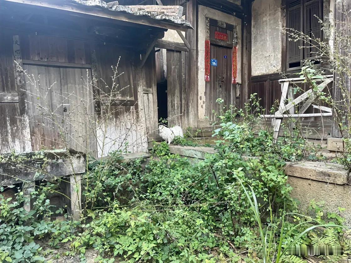 我婆婆是绝世人生赢家，我公公也是绝世好男人，两个人也是顶级的绝配，一个无怨无悔的