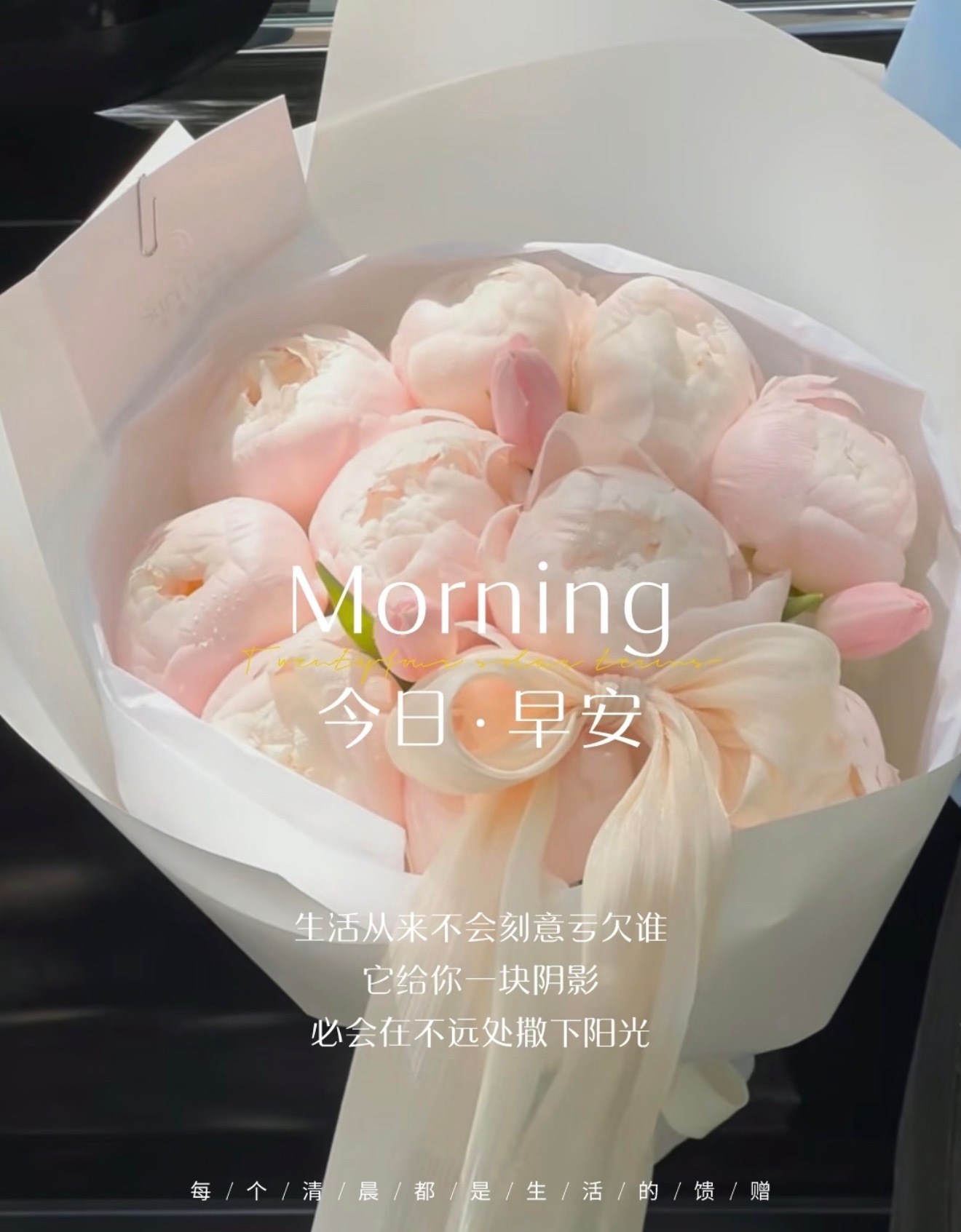 🍒ʍօʀռɨռɢ☆~阳光正好，微风不燥过往皆为序章，未来皆是可盼愿你心中有爱，