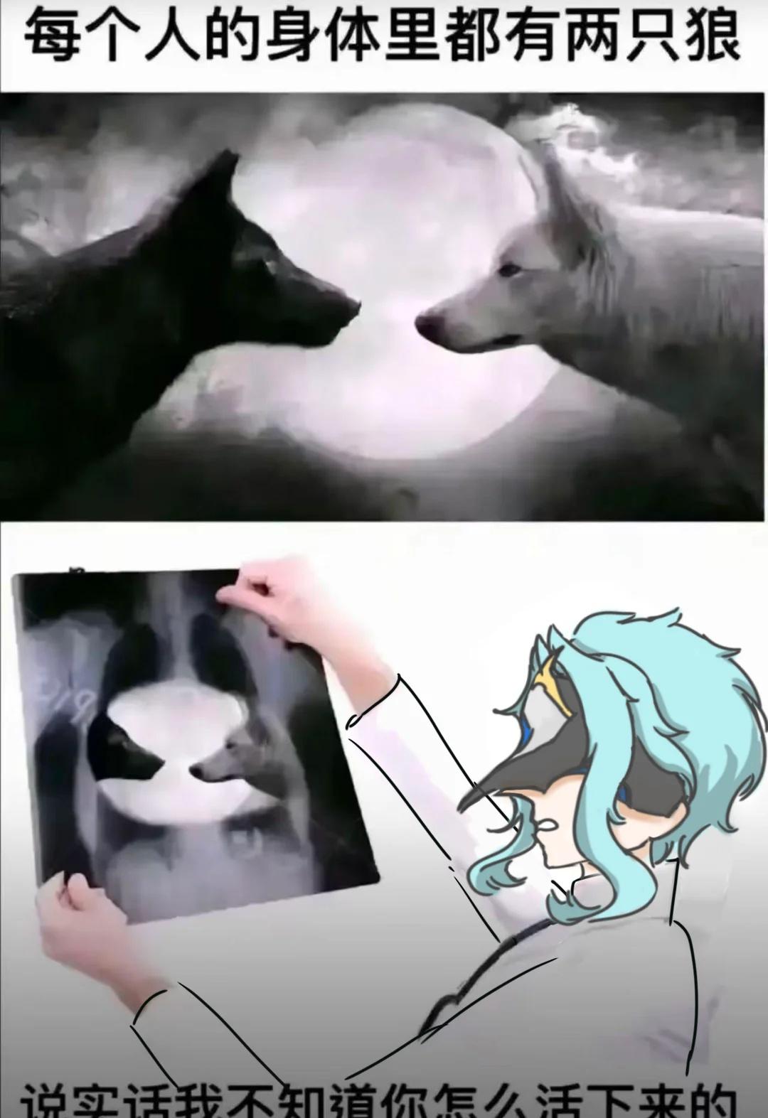 两个梗图
多托雷 潘塔罗涅