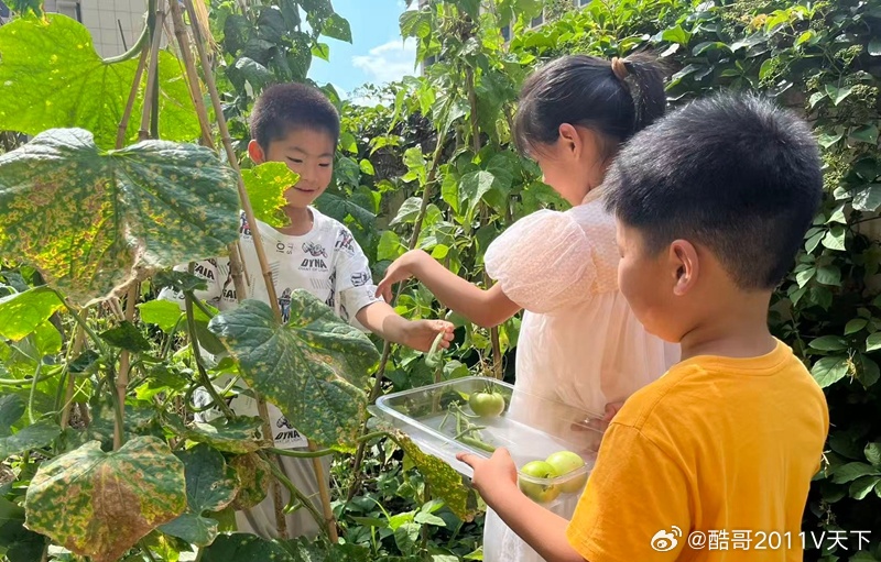 房县校园 城关镇第二幼儿园：耕耘悟辛劳 惜粮筑美德十堰爆料 房县新闻网讯 通讯员