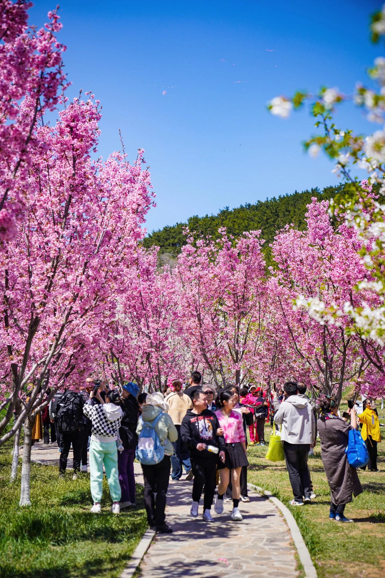 【你把自己调成别人喜欢的频道，就会弄丢自己的频率；你越是迎合别人，别人就越不拿你