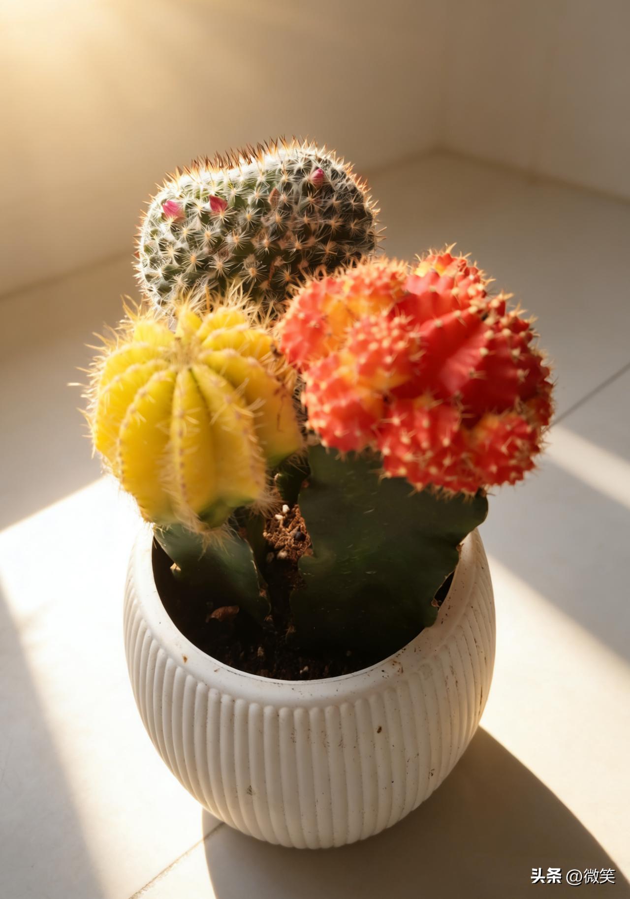 生命从不是一场漫无目的漂泊， 也不是为了迎合谁、
证明谁而存在。

它是哭着来到