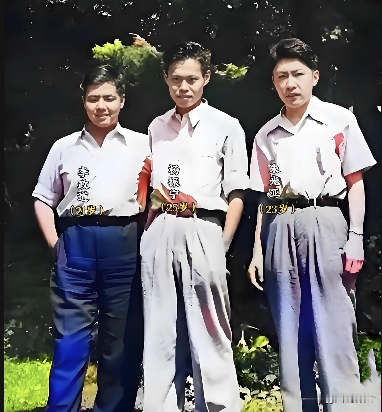 三位留学生合影

1947年在美国密歇根大学的安娜堡校区里面的公园里，三位中国留