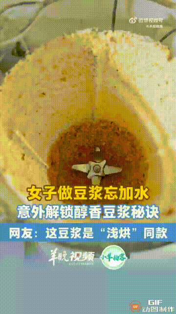 河南南阳一名女子使用破壁机制作豆浆，谁料她把黄豆放进破壁机后，忘记加水，导致黄豆