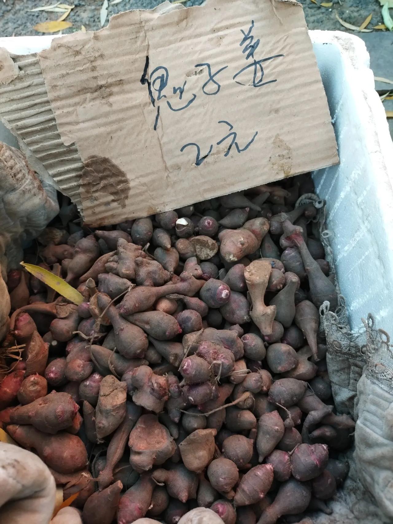 今天上早市看到的这个菜。

这个菜还不算贵，两元一斤，它的名称“鬼子姜”。

我