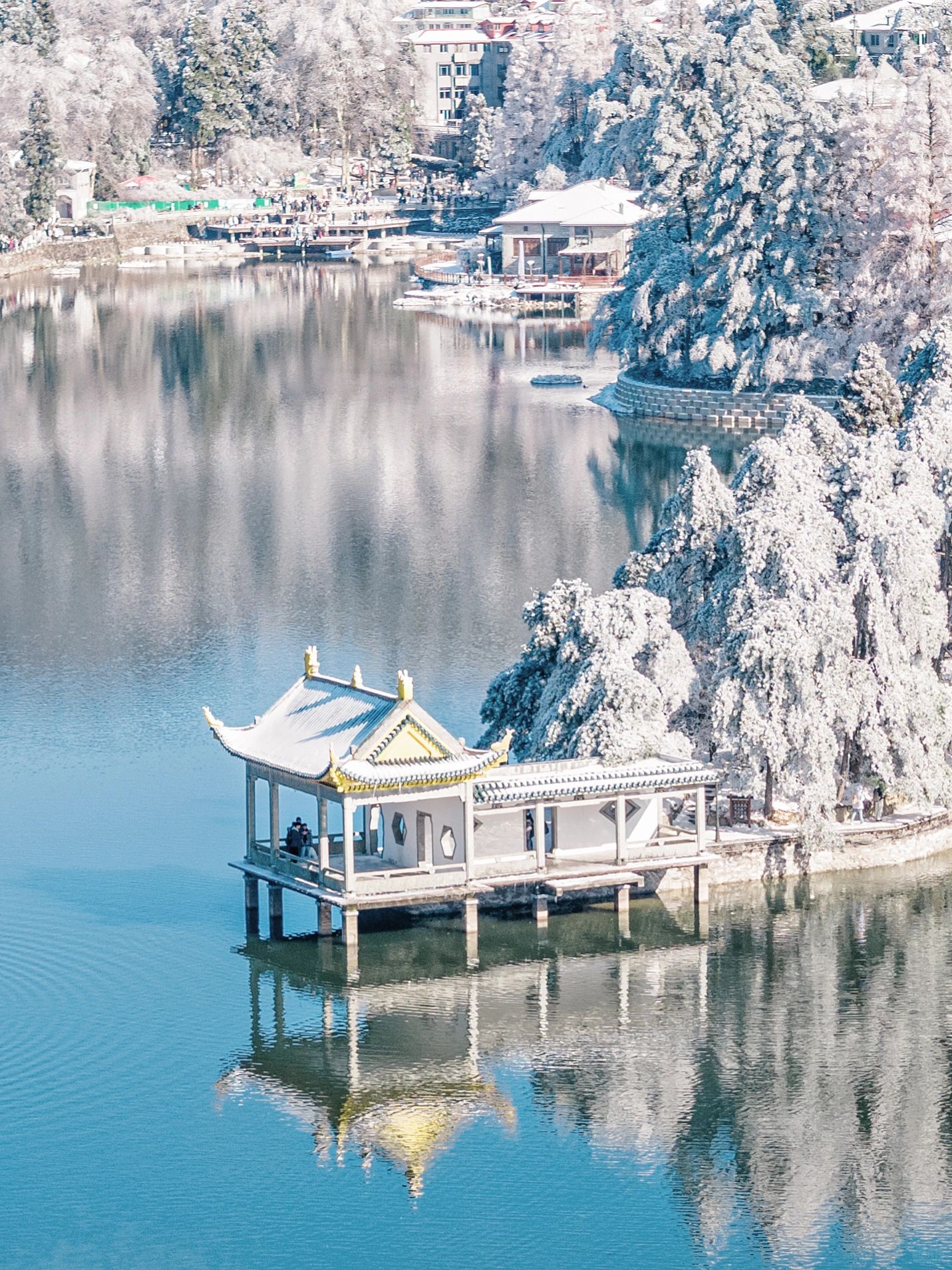 庐山下雪！下周的庐山是南方看雪天花板！！