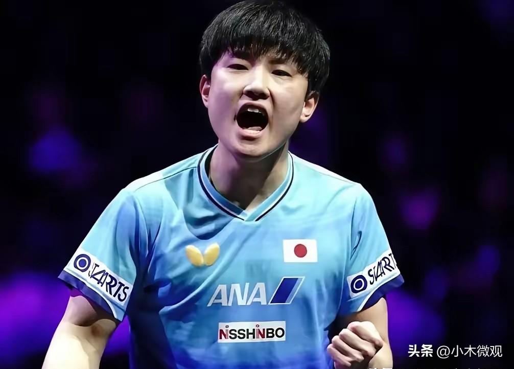 WTT横滨赛，16强全部落位，两协会成最大赢家，国乒与日韩有差距

向鹏
今年伦