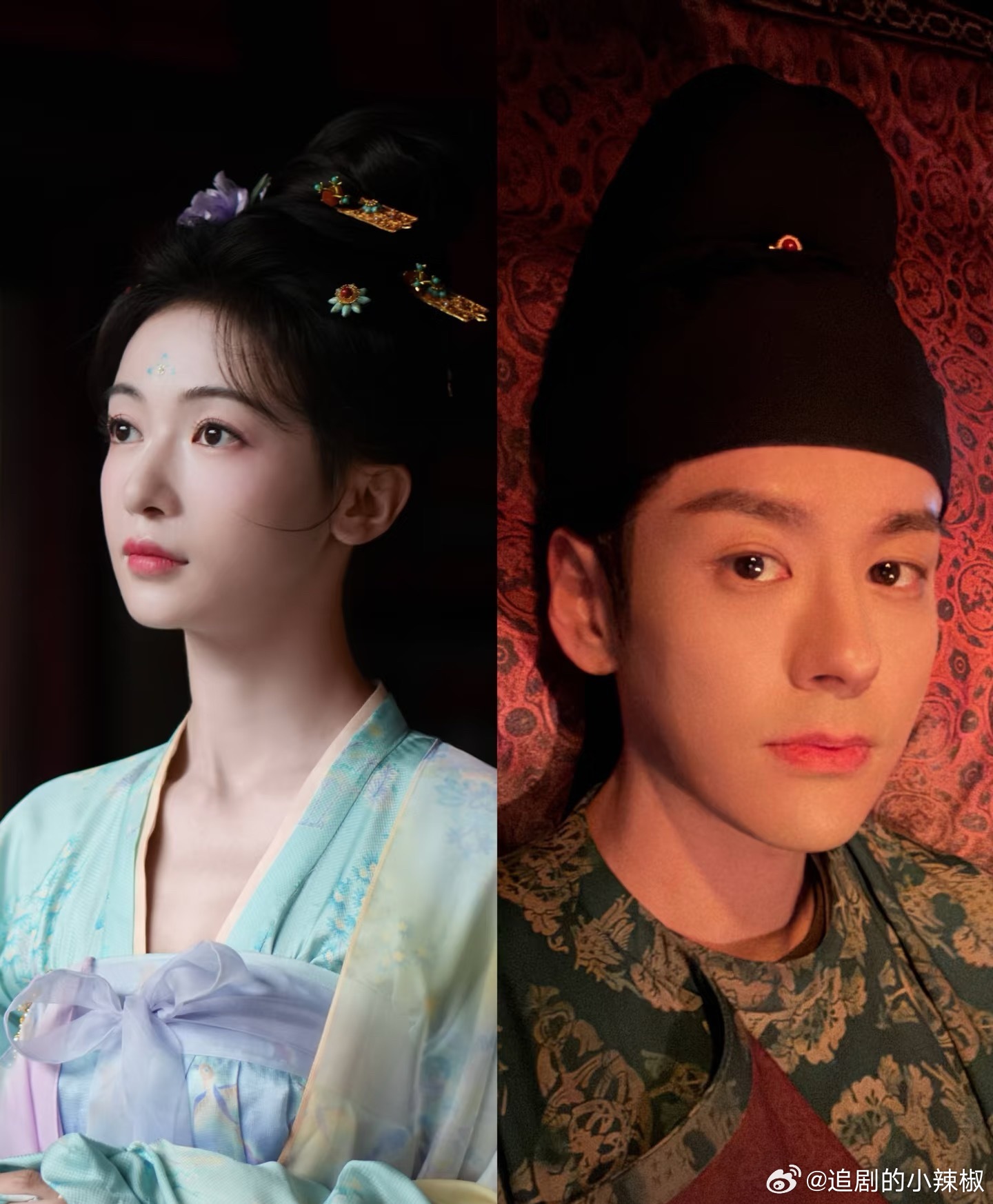 🍉《凤不栖》男女主暂定吴谨言、魏哲鸣，不会又是复仇大女主吧🤔 