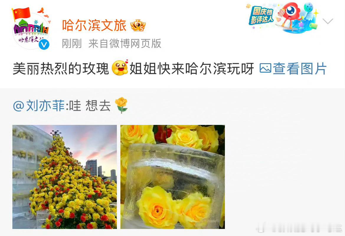 哈尔滨文旅在线回复刘亦菲，欢迎刘亦菲姐姐来哈尔滨玩[哇][哇] 