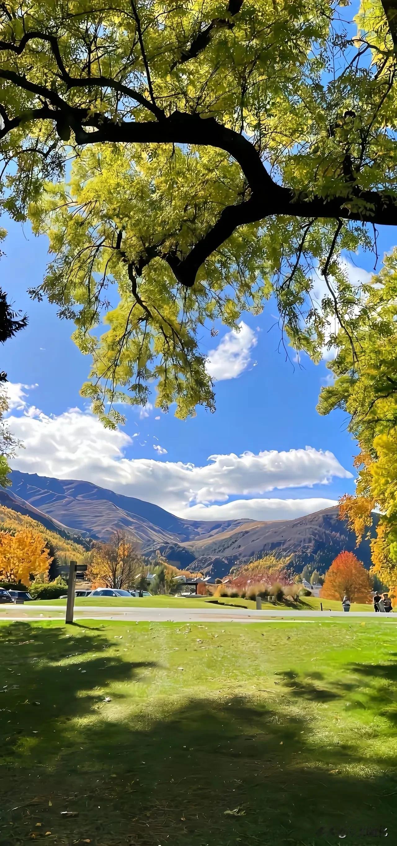 一位医生说：
“当你没有性欲的时候，说明你已经老了！性欲这个东西，很多人觉得难以