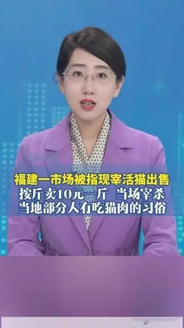福建某市场的场景，我看完后背直发凉！猫被按在台面上现宰，10块钱一斤，可这些猫，