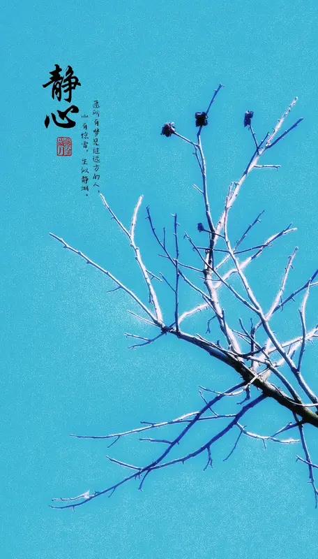 杨绛先生有句话我超爱：“我们曾如此渴望命运的波澜，到最后才发现，人生最曼妙的风景