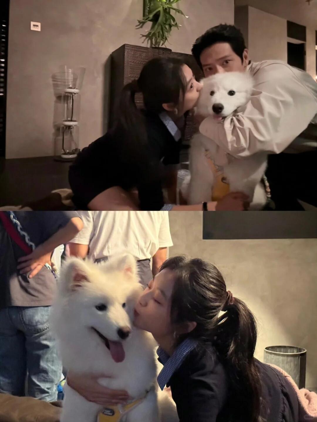 这张剧透倒是有几分栾念的味道❗ 