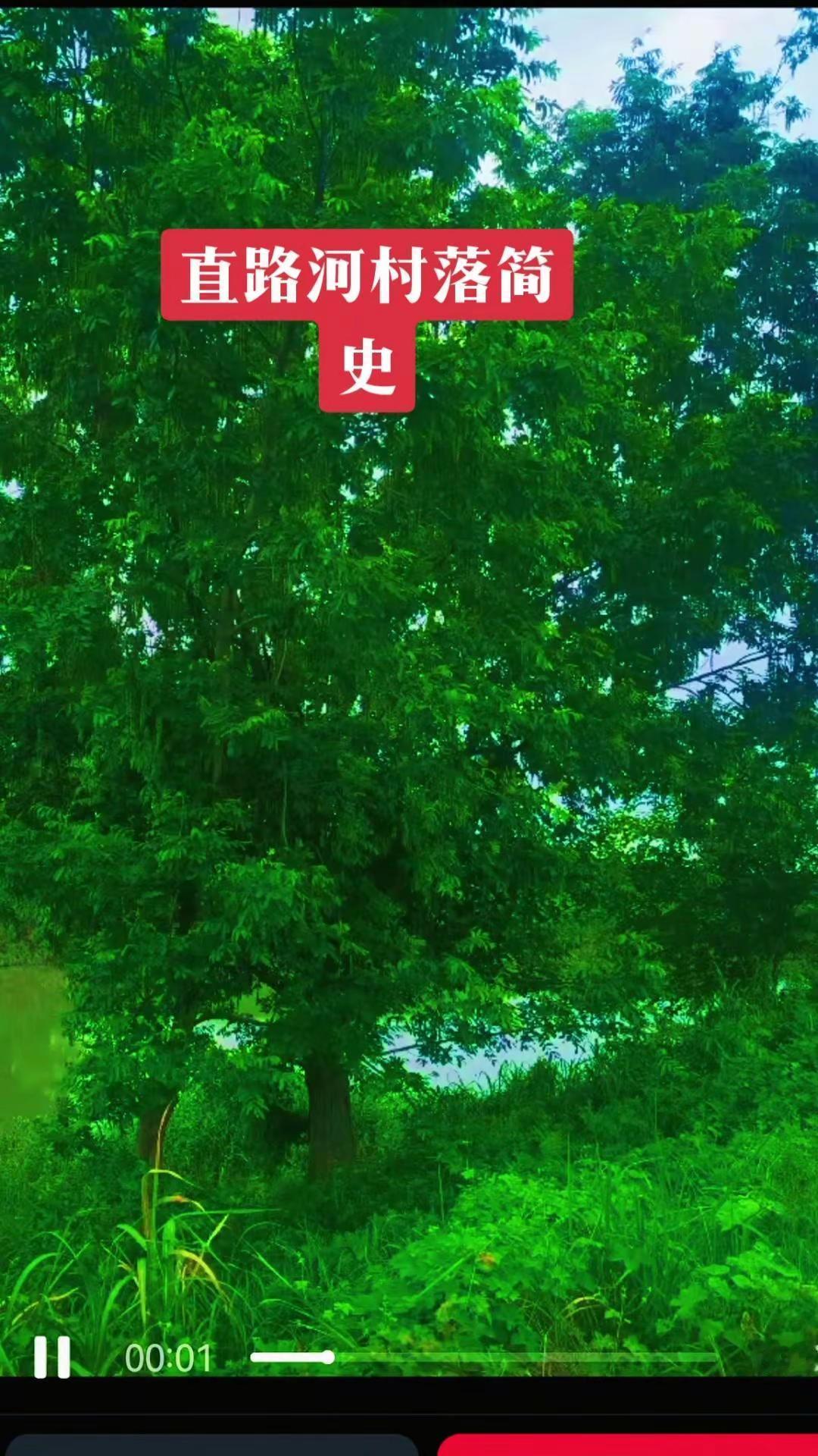 🗺️直路河村落的迁徙与记忆。古镇被洪水淹没后，居民们分散搬到了新街、新沟渔洋和
