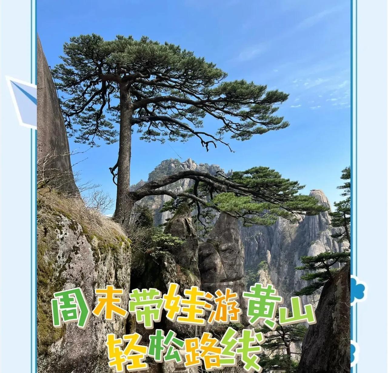 52岁周群带三个孩子黄山亲子游，画面温馨有爱。三个孩子都戴着牙箍，青春朝气。周群