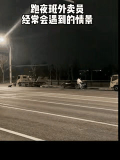 “轮胎都要跑飞边子了！”北京海淀西北旺镇发生多起流浪狗围追撕咬骑单车路人事件，很