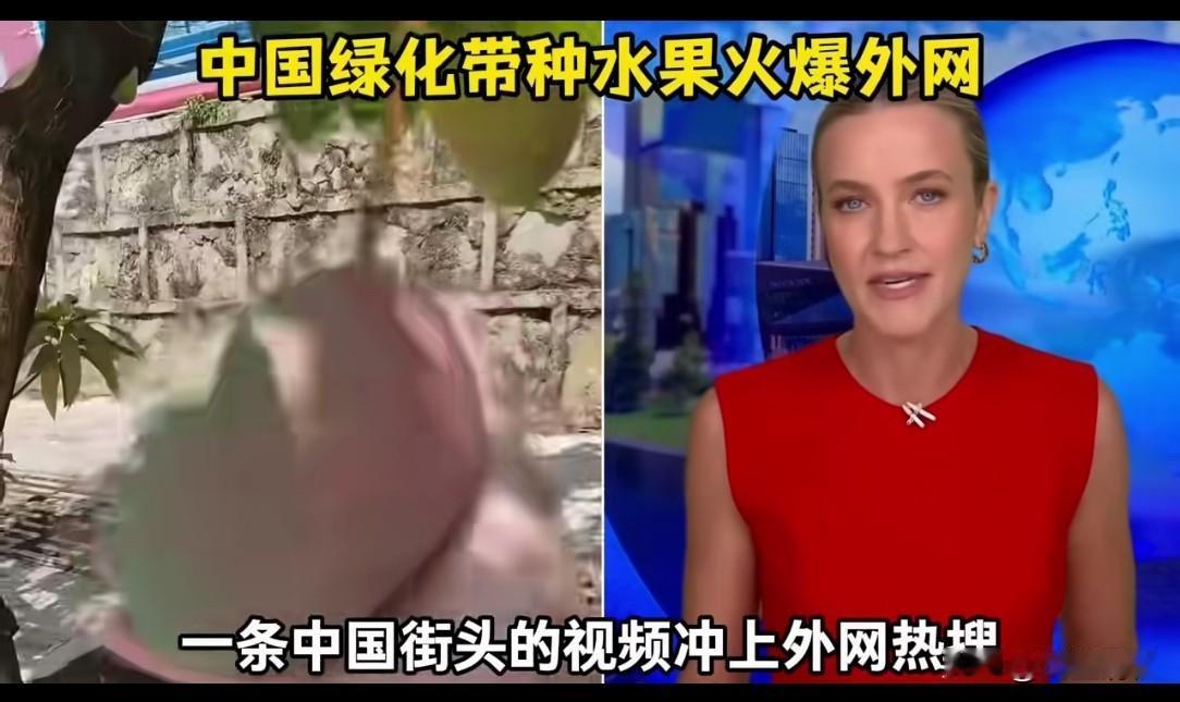 外网炸锅！中国马路长满水果，满树硕果无人争抢，老外彻底看不懂
 
一段中国南方城