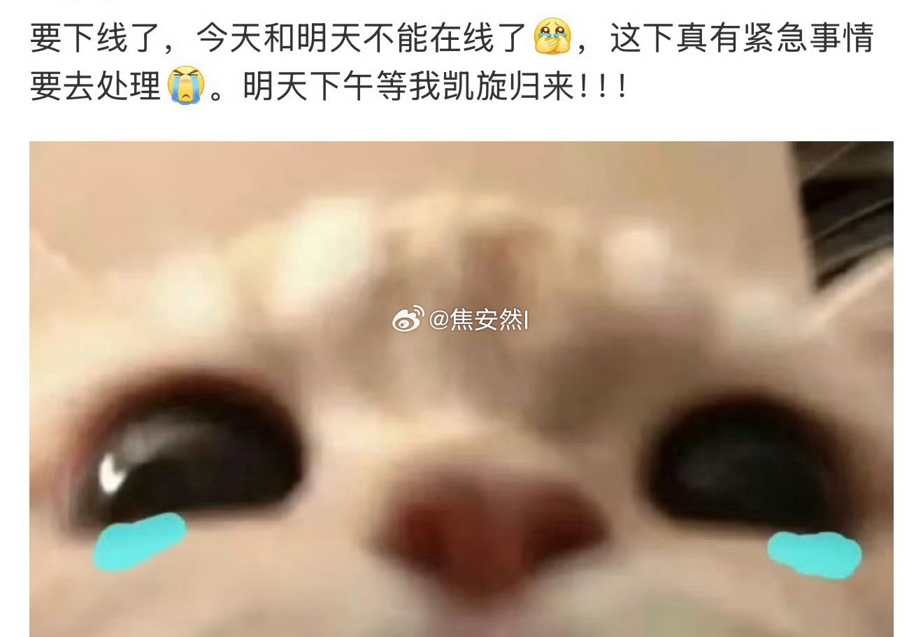 谁啊，又下线调理了？ 
