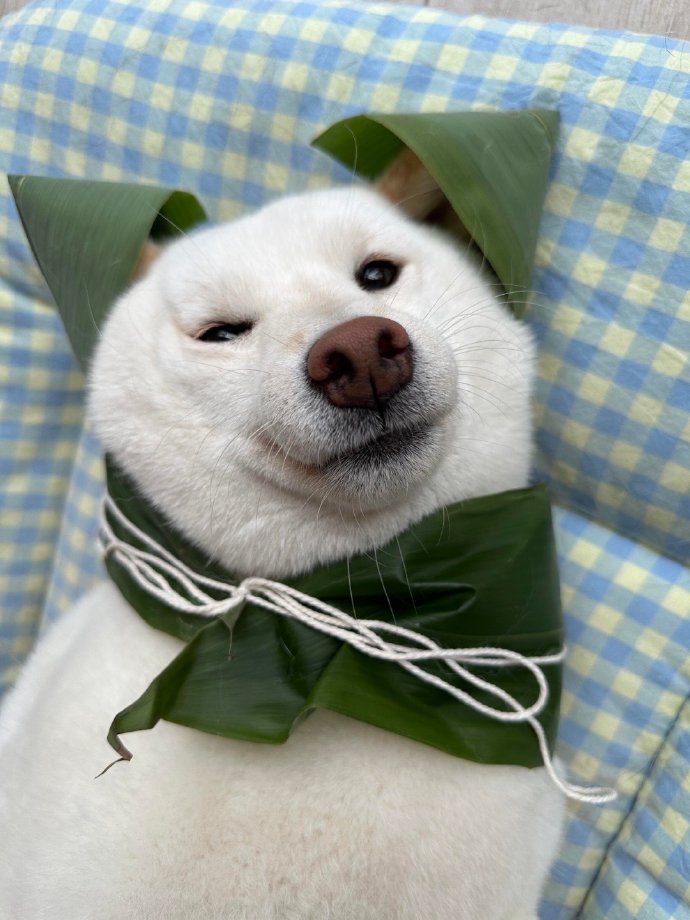 工位累了就来吃个柴粽吧 