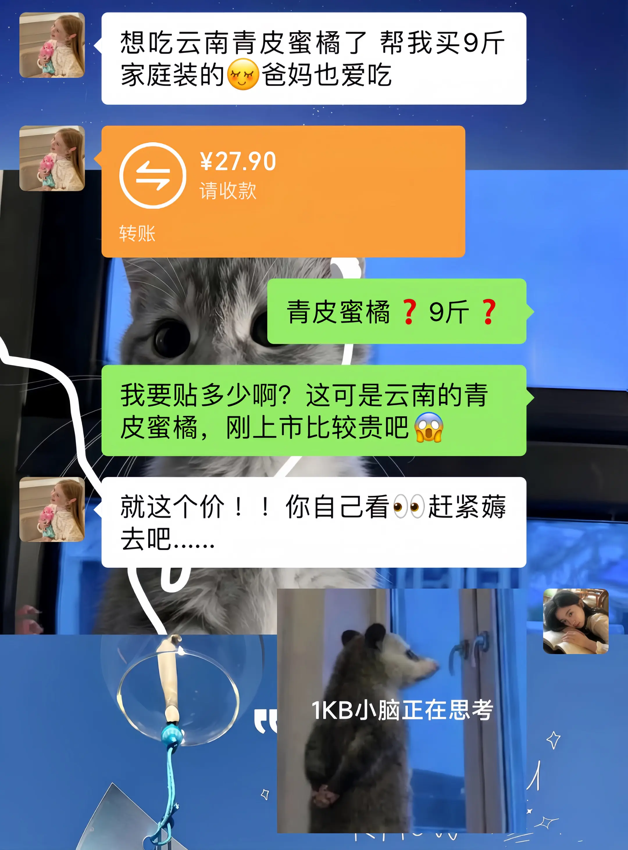 商家你是认真的吗？就这价我可薅了！