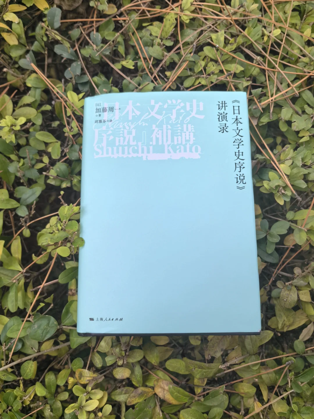 《日本文学史序说》讲演录:日本文学的缩影