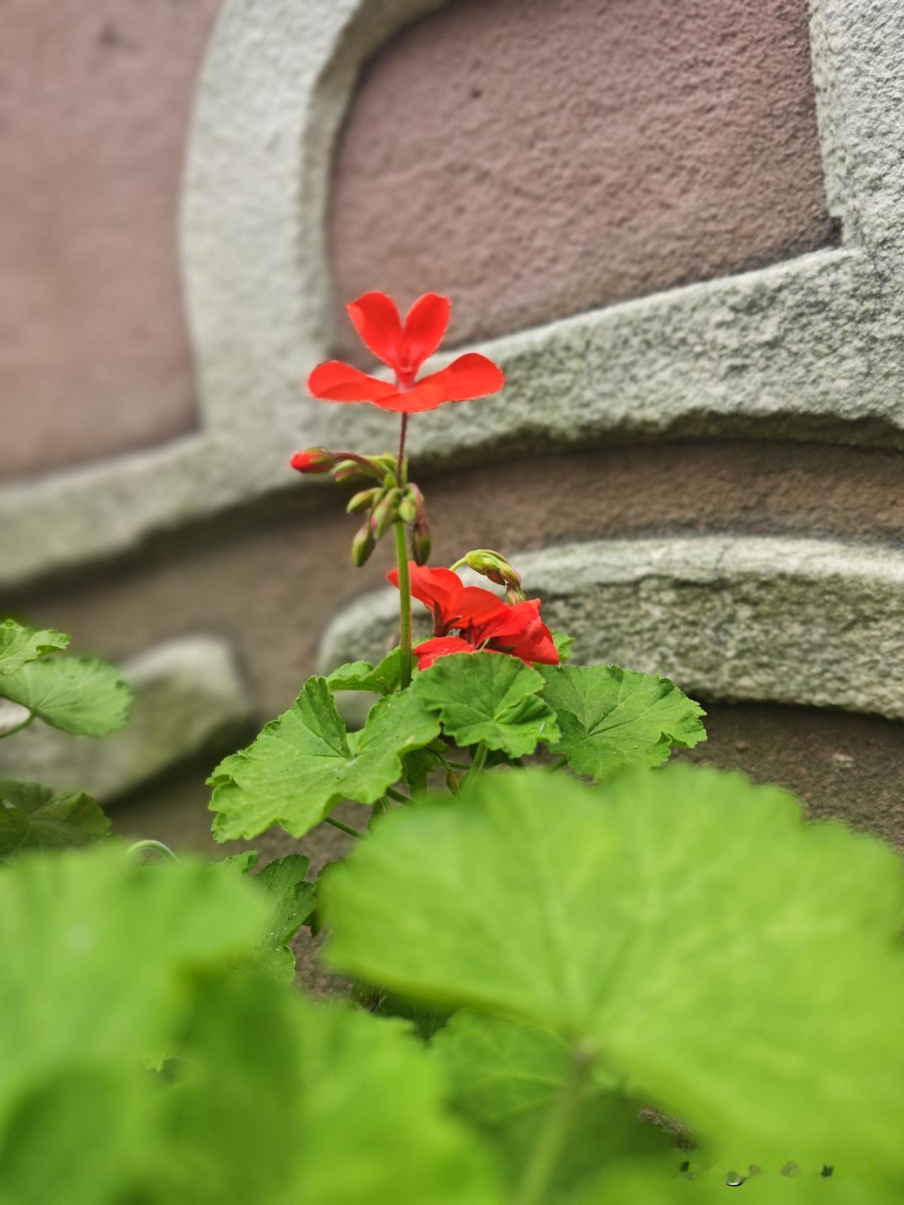 难怪很多年以前就有人说，手机摄影功能在一些方面上可以替代相机摄影，当然替代专业的