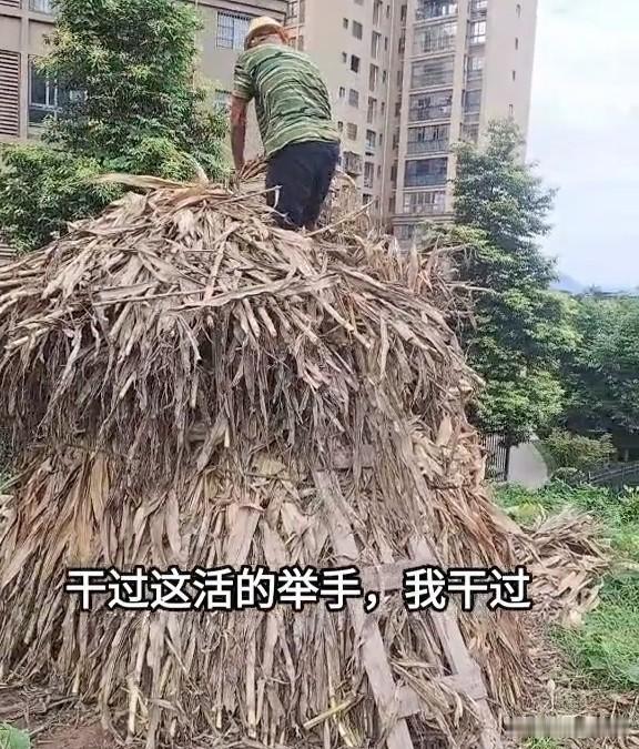 村里王老婆子每天换两身衣服，她在麻将馆一坐，故意露出她的手镯来，哎呀，这是我女儿