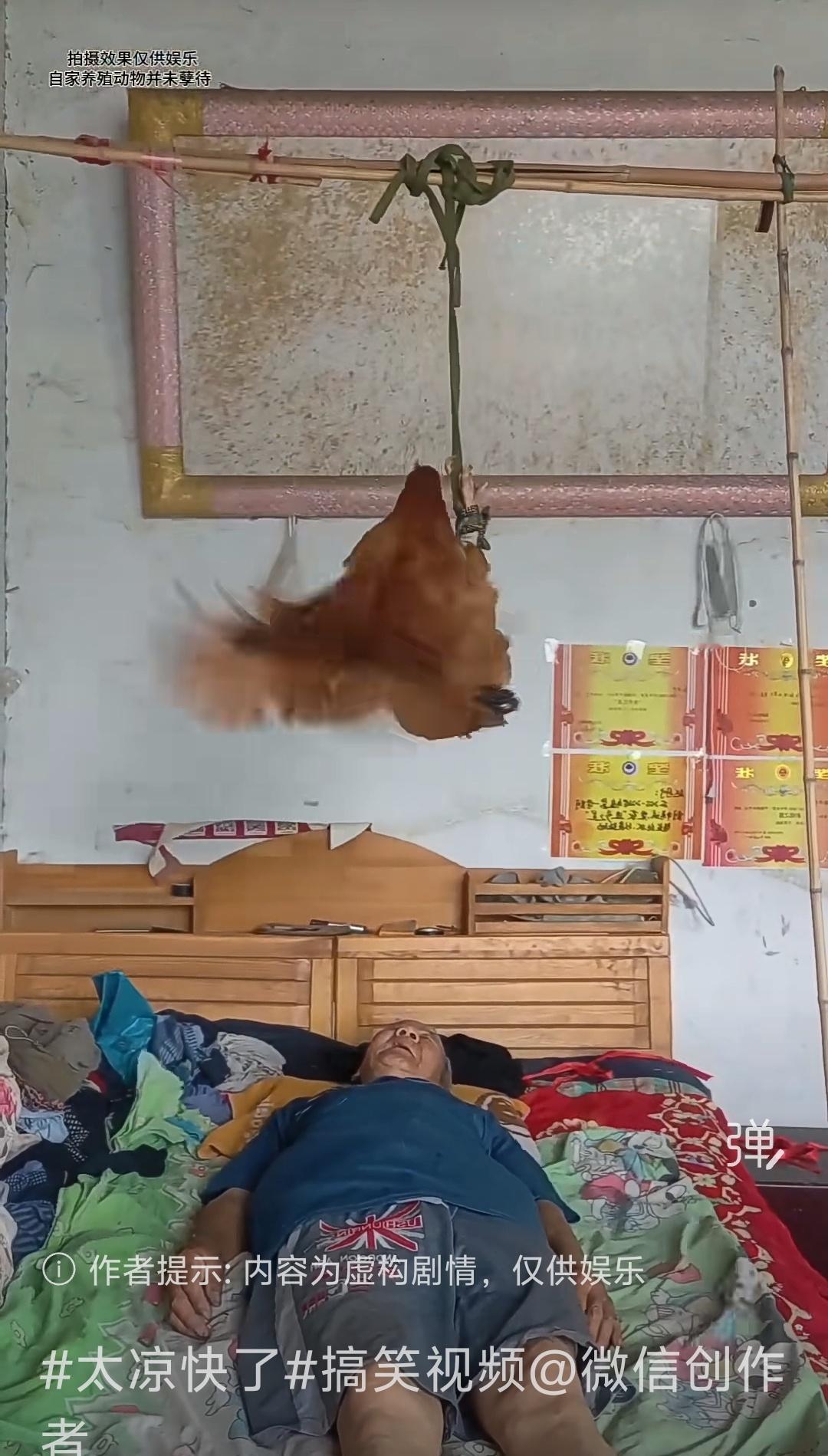 活着下蛋给你吃，死了给肉给你吃，还要折腾它给你骗流量，这样的，基本没人性。