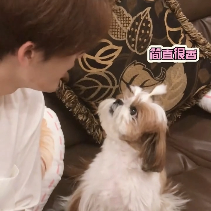 懂了，和檀健次深情对视能换来檀健次的主动求吻 