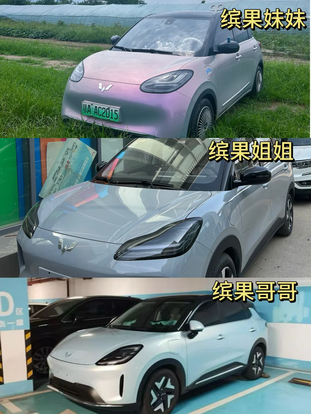 缤果家族三兄妹，你更喜欢哪个？