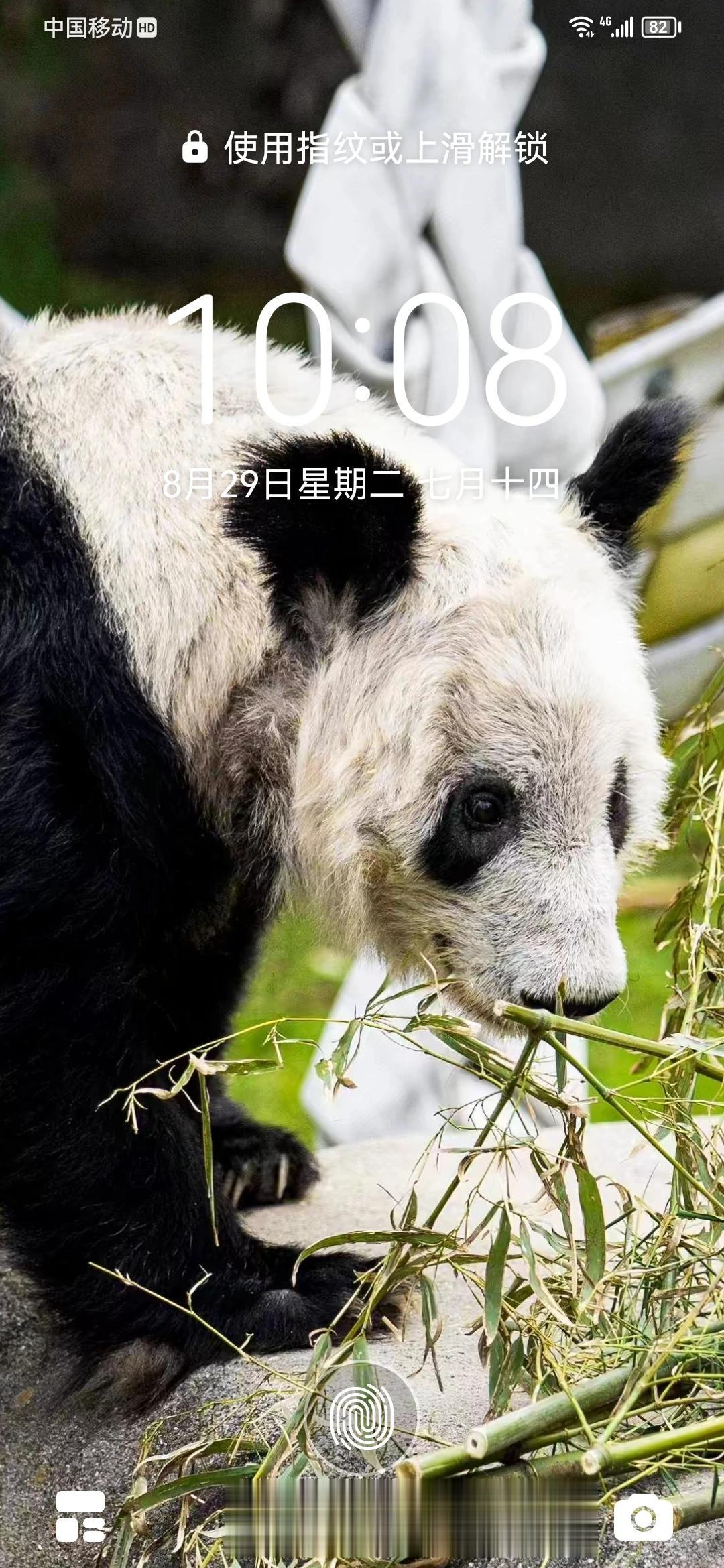 生理上喜欢最主要
       男女在一起啊，其实生理上的喜欢是最重要的，其他都