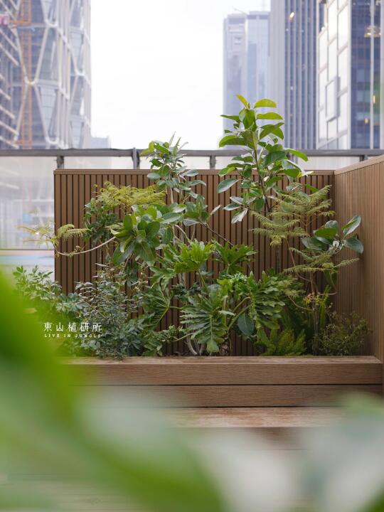 植物造景｜户外空间森系绿植搭配🌳