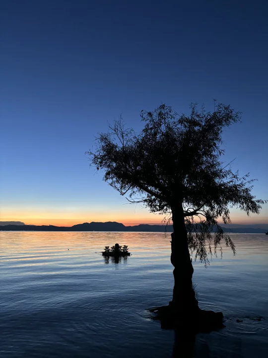 捞鱼河的蓝调时刻 值得