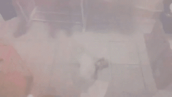 别装了
我都看到了