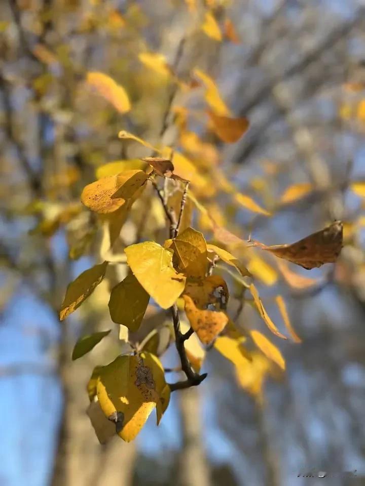 冬天来了
春天不远了