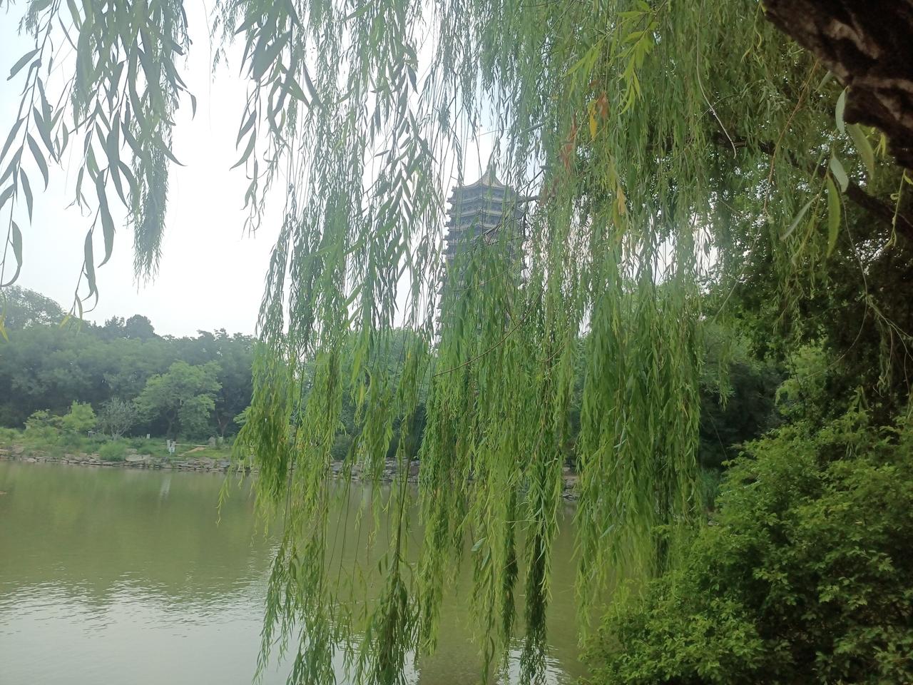 我认为大很多。房子，车子，老人身体健康，孩子学习。这些压的中年人沉重前行。