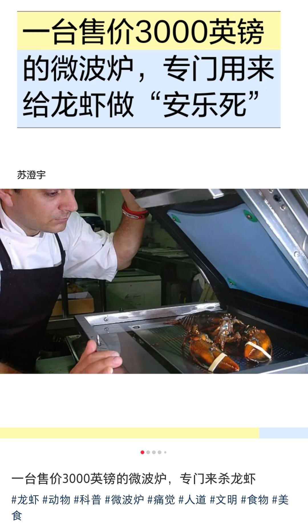 英国宣布直接把活龙虾烹煮违法，对龙虾安乐死的机器卖3000欧元，好家伙合着早生意