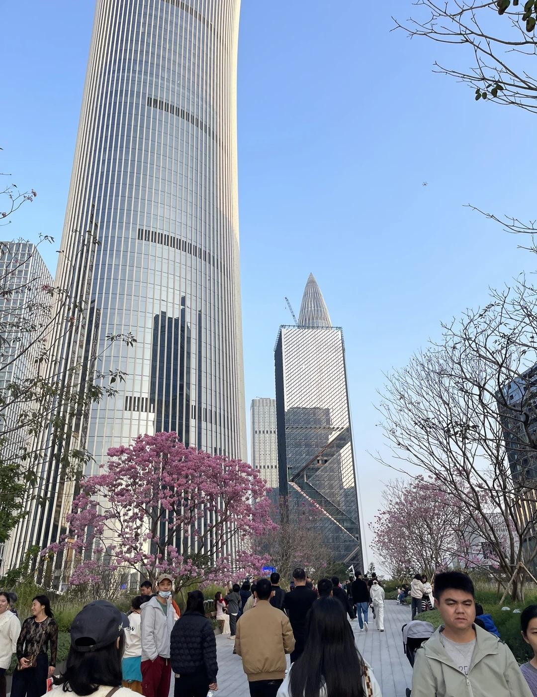 普通人的红利
在视频平台上看到一个说法，说短视频是普通人的红利。
	
这个观点我