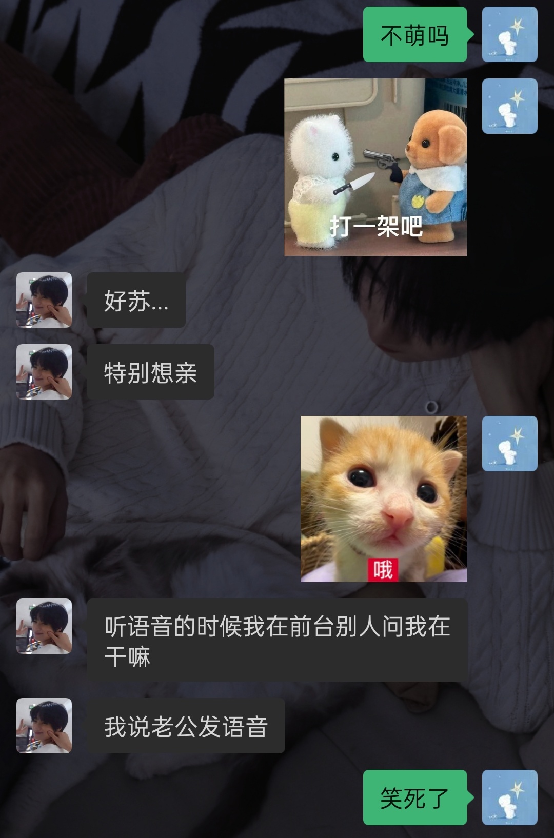 决战梦女＆妈粉之巅