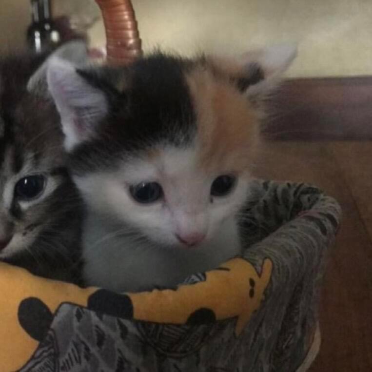 us. 
