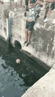 这是哪个老六想出来的办法！只是最后没想到[笑哭][笑哭]